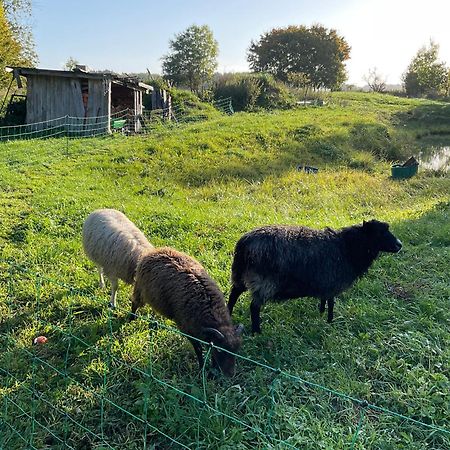 Ferienhaus Raabe Splietsdorf Exteriér fotografie