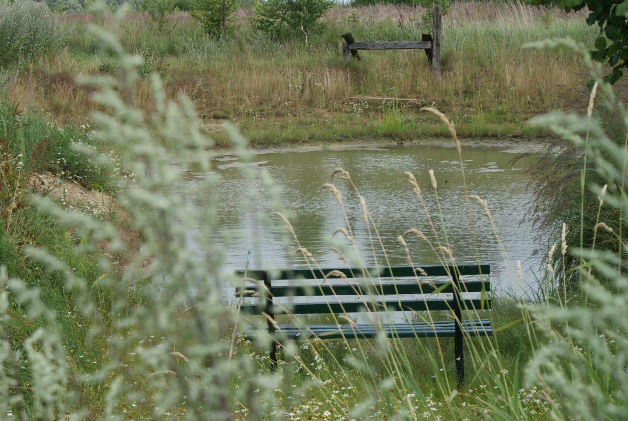 Ferienhaus Raabe Splietsdorf Exteriér fotografie